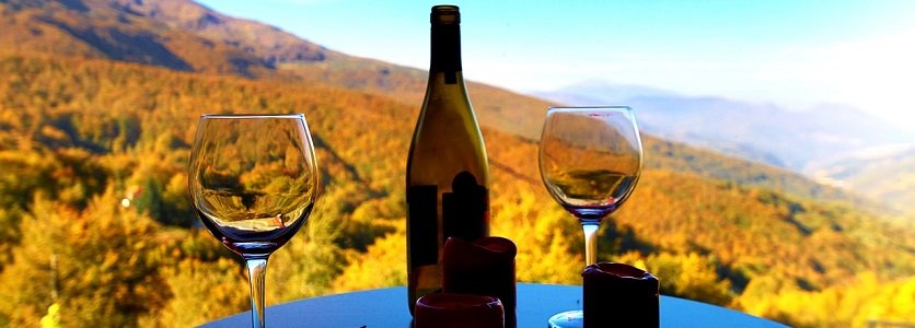 Movimento mundial incentiva o consumo moderado de vinho