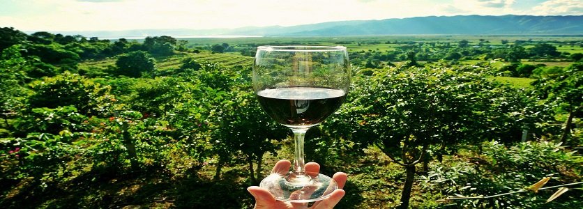 Serra Catarinense:  Bons Vinhos e Belas Paisagens